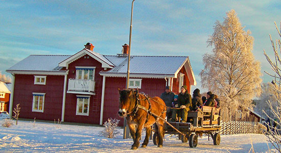 Horse-drawn-wagon-tour